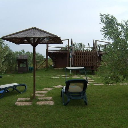 Agriturismo Il Forasacco โกรเซตโต ภายนอก รูปภาพ
