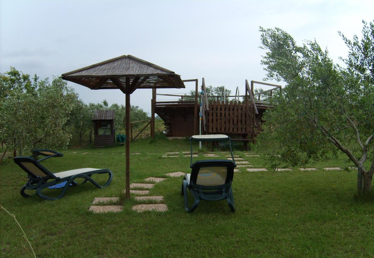 Agriturismo Il Forasacco โกรเซตโต ภายนอก รูปภาพ