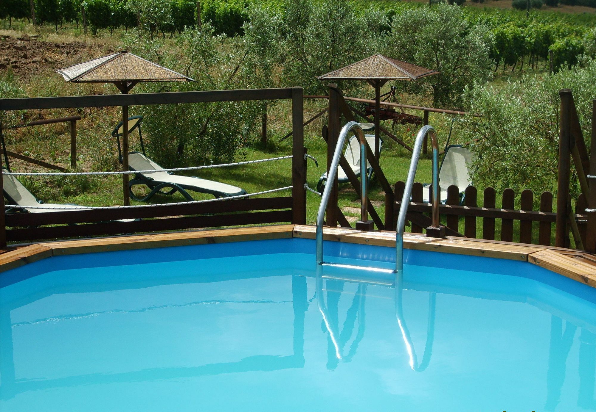Agriturismo Il Forasacco โกรเซตโต ภายนอก รูปภาพ